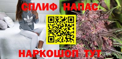 винт Будённовск