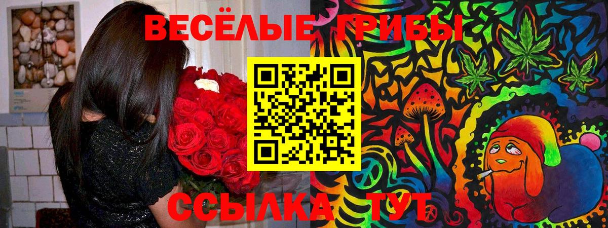 Партизанск  купить закладку  Вход с VPN  Псилоцибиновые грибы мухоморы 