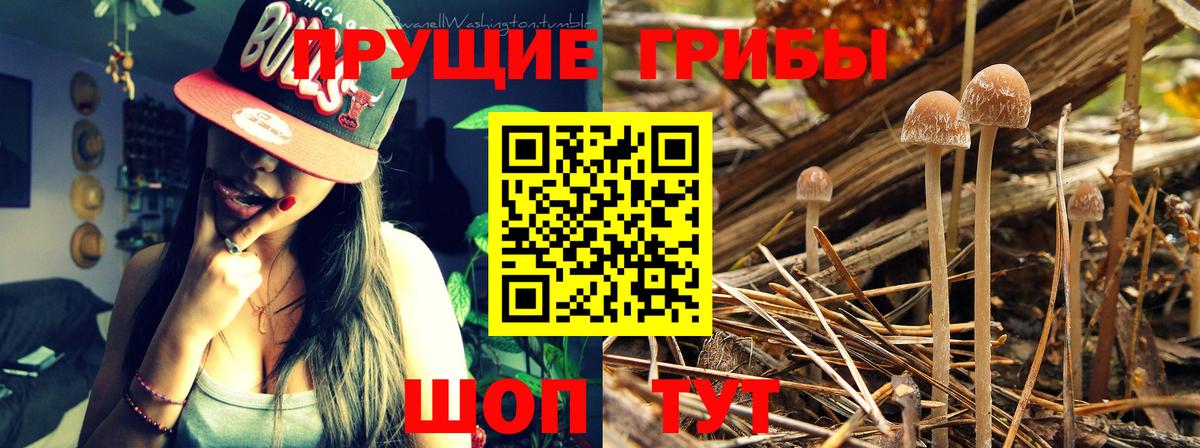 Бутират Партизанск